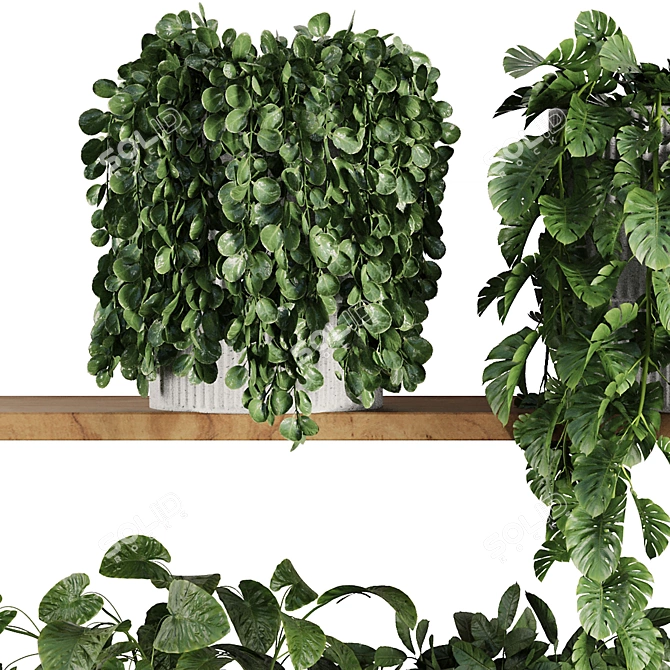 Modern Plant Shelf Display Set 3D model image 3