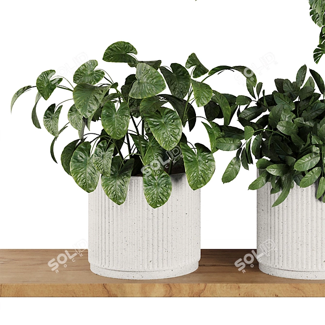 Modern Plant Shelf Display Set 3D model image 4