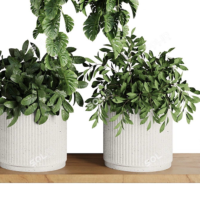 Modern Plant Shelf Display Set 3D model image 5