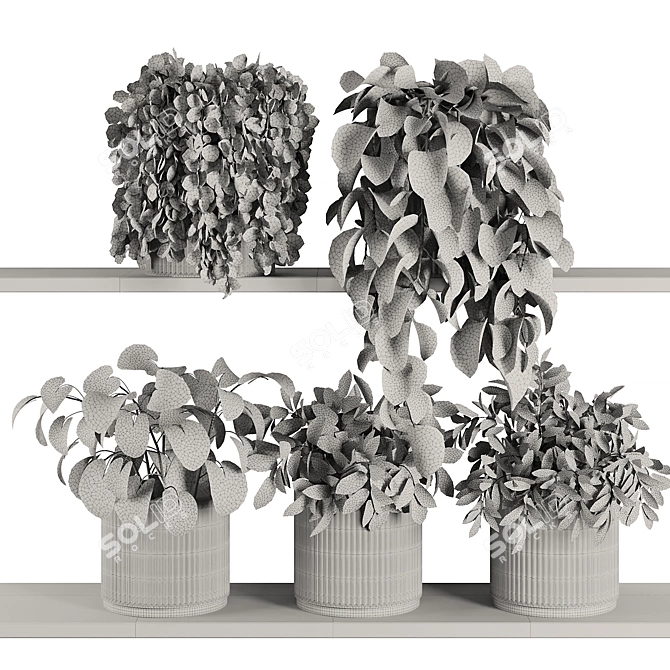 Modern Plant Shelf Display Set 3D model image 6