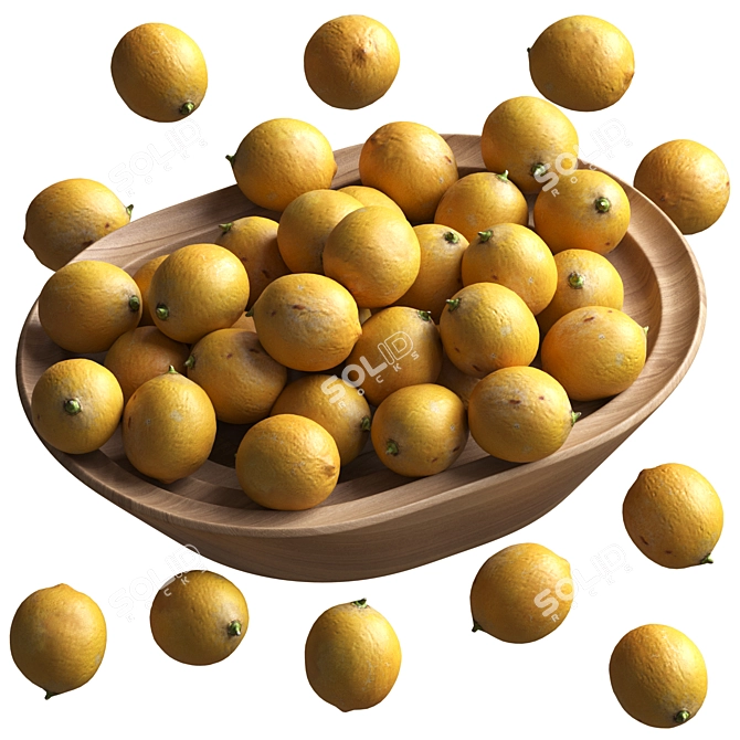 Citrus Asset Pack 3D Model 3D model image 1