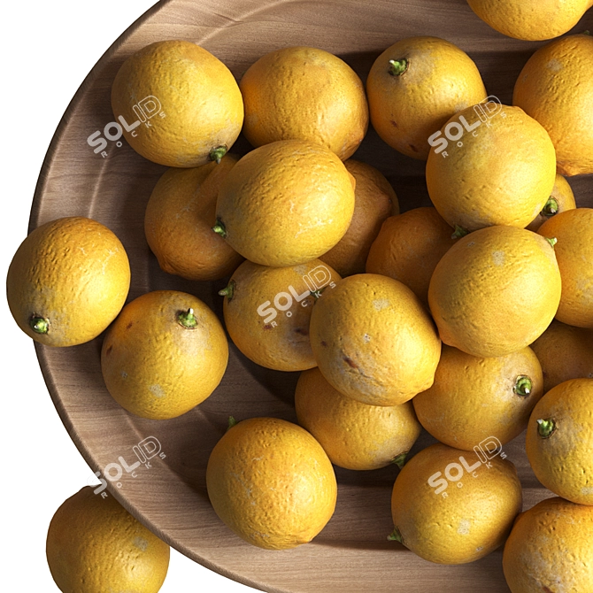 Citrus Asset Pack 3D Model 3D model image 2