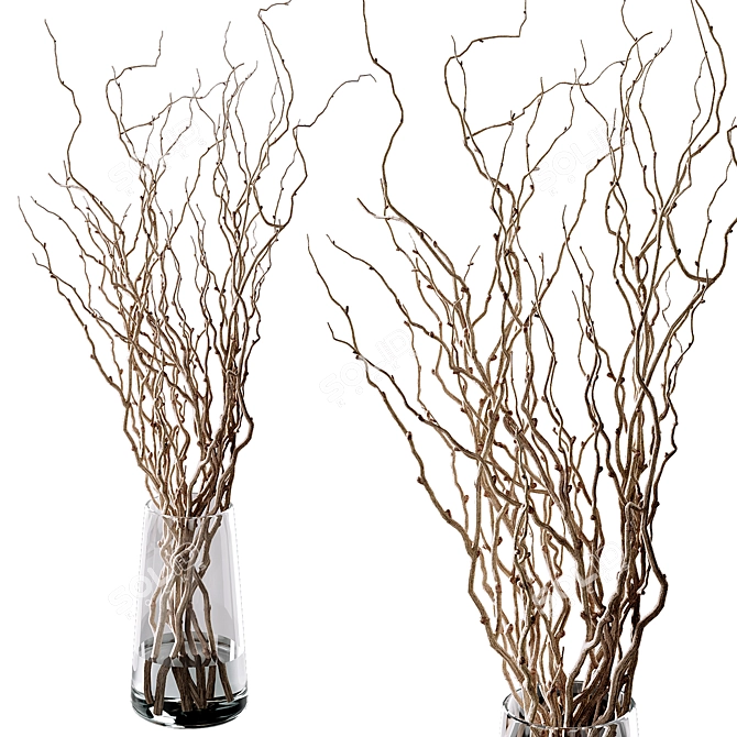 Natural Curly Willow Branches 3D model image 1
