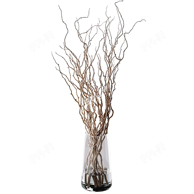 Natural Curly Willow Branches 3D model image 2