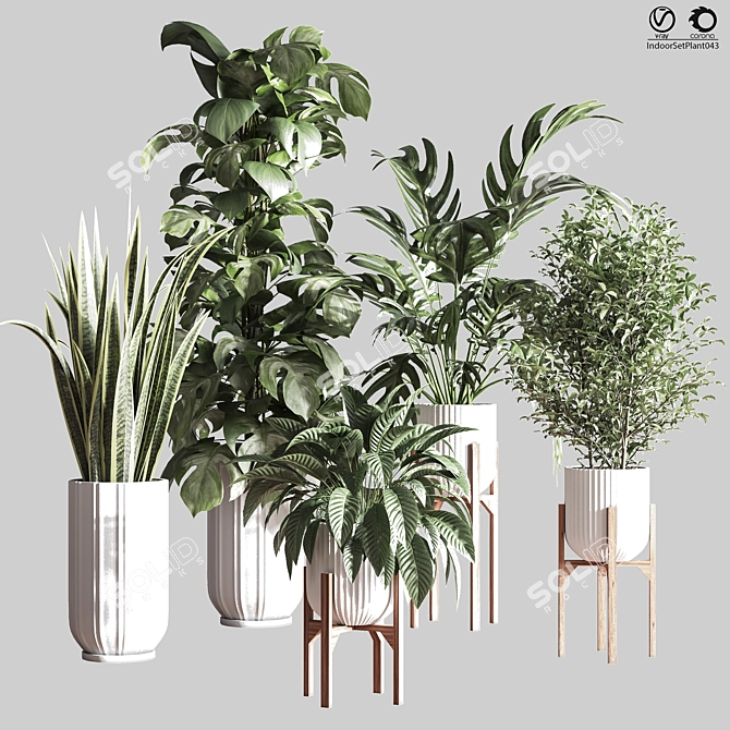 Lush Indoor Plant Set 3D model image 1