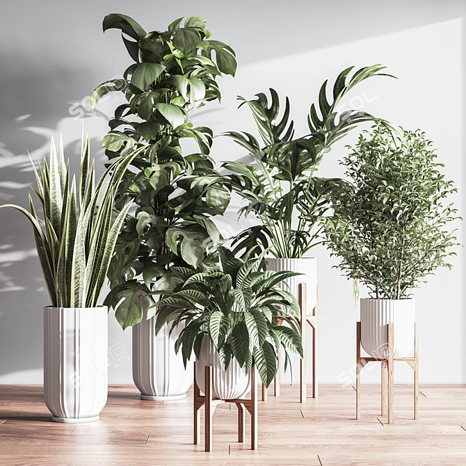 Lush Indoor Plant Set 3D model image 2
