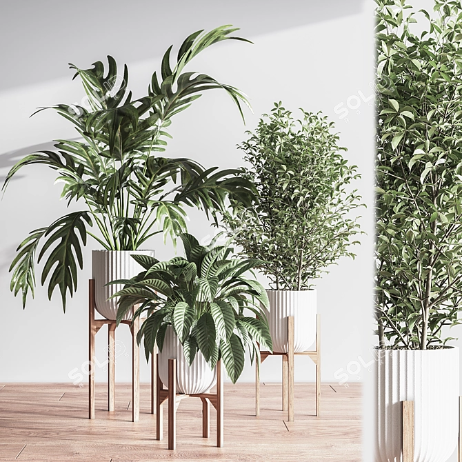 Lush Indoor Plant Set 3D model image 3