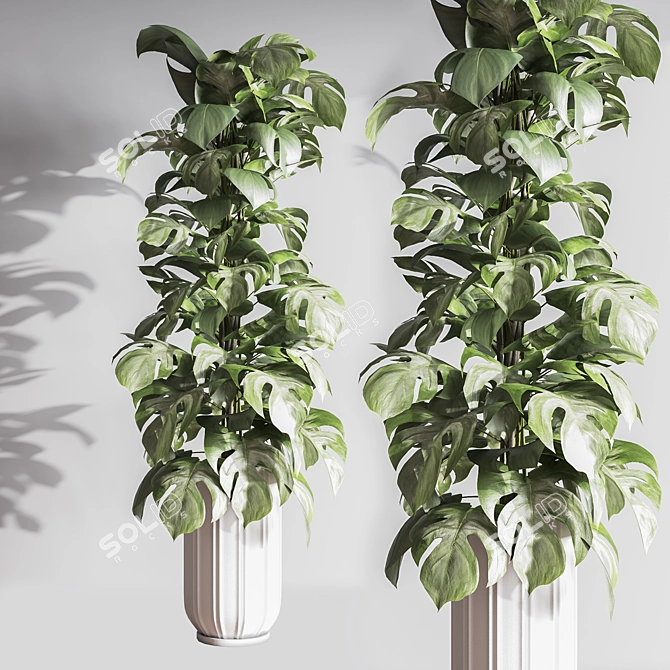 Lush Indoor Plant Set 3D model image 5