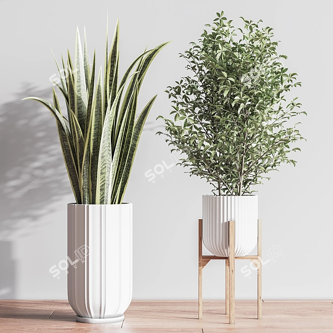 Lush Indoor Plant Set 3D model image 6