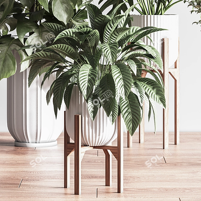 Lush Indoor Plant Set 3D model image 7