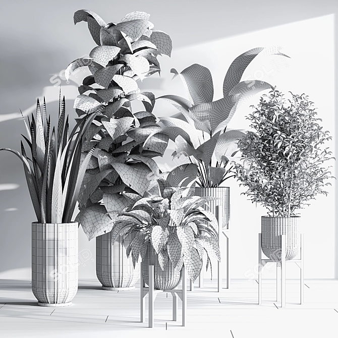 Lush Indoor Plant Set 3D model image 8