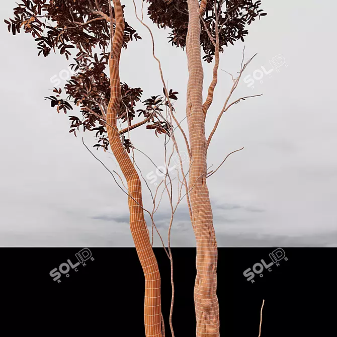 Premium Castanea Sativa 3D Models 3D model image 4