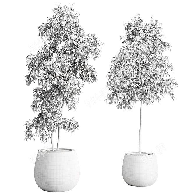 Modern Indoor Plants Set 012 3D model image 4
