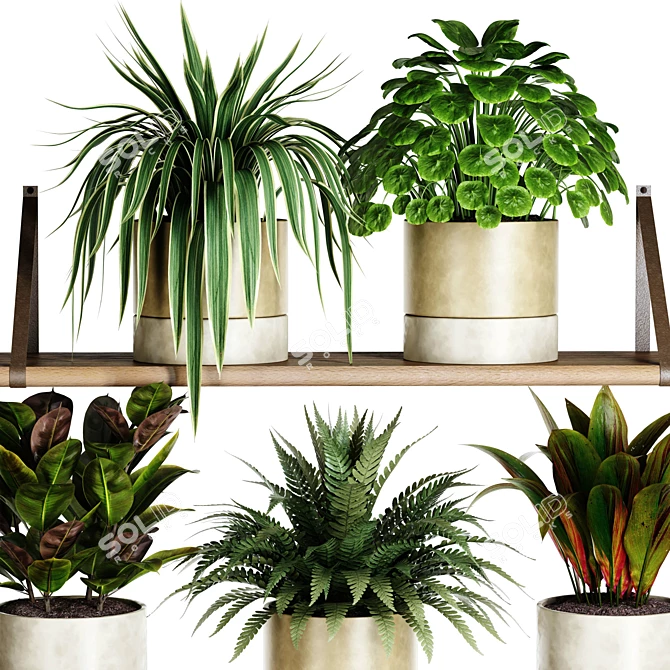 Cozy Shelf Plants Set 3D model image 2