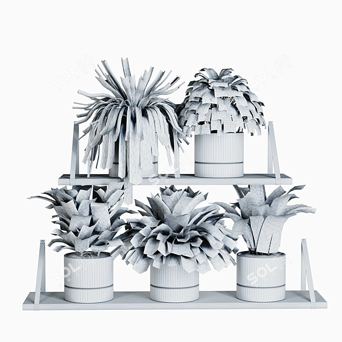 Cozy Shelf Plants Set 3D model image 3