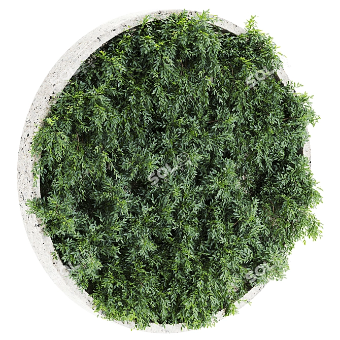 Green Oasis Plants Set 65 3D model image 2