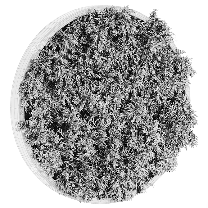 Green Oasis Plants Set 65 3D model image 3