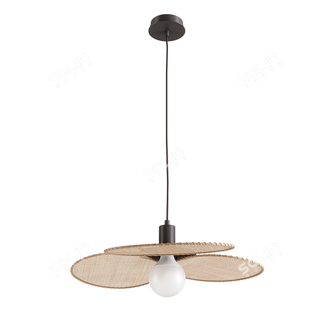 Rattan Canopée Ceiling Lights 3D model image 3