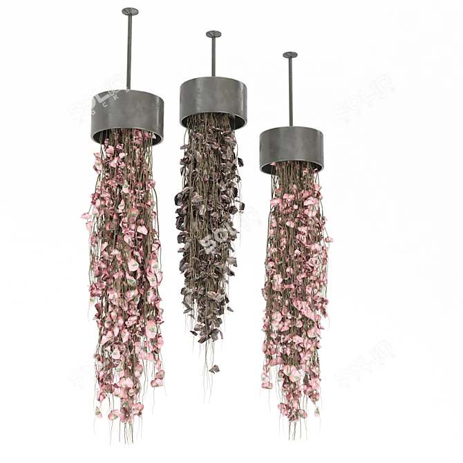 Metal Box Hanging Plants Set 3D model image 4