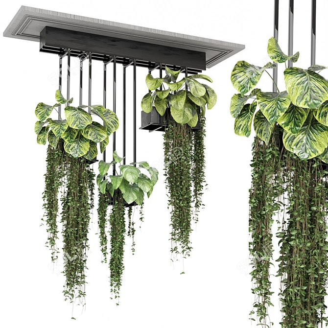 Metal Box Hanging Plants Set 3D model image 1