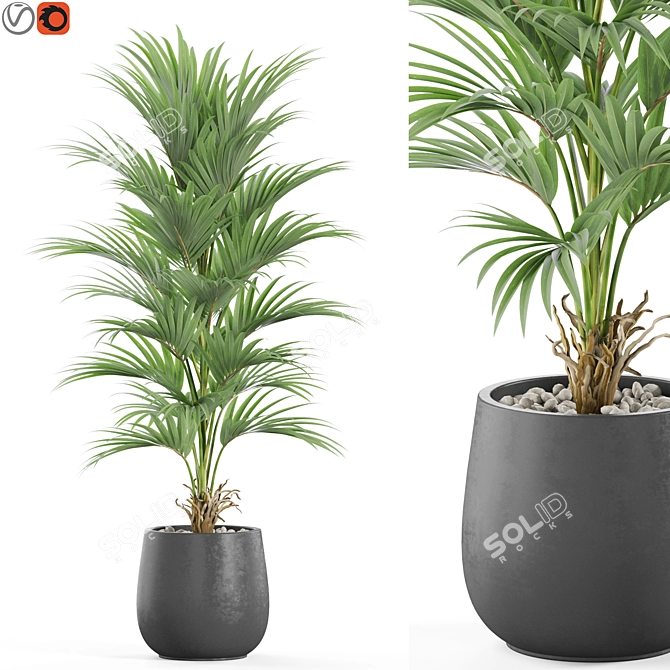 Lush Plants Assortment Set 3D model image 1