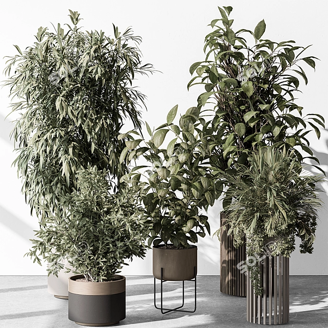 Leafy Green Tree in Pot 3D model image 1