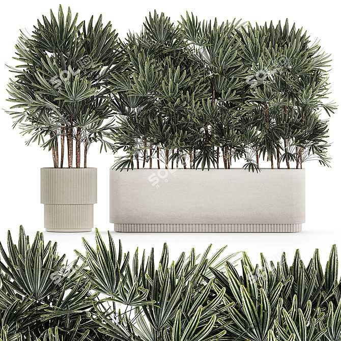 Modern White Plant Collection with Rhapis Palm 3D model image 1