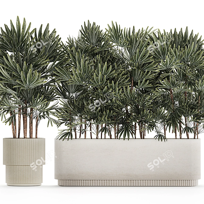 Modern White Plant Collection with Rhapis Palm 3D model image 4