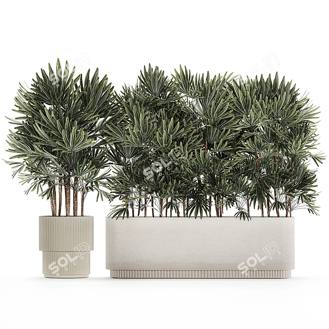 Modern White Plant Collection with Rhapis Palm 3D model image 6