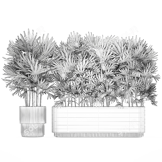 Modern White Plant Collection with Rhapis Palm 3D model image 7