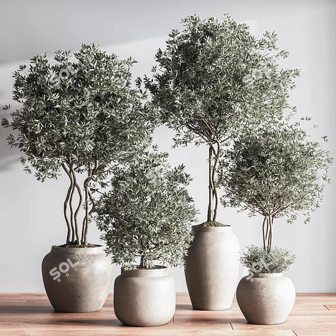 Modern Urban Indoor Plant Set 3D model image 2