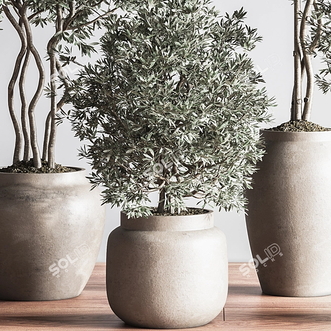 Modern Urban Indoor Plant Set 3D model image 3