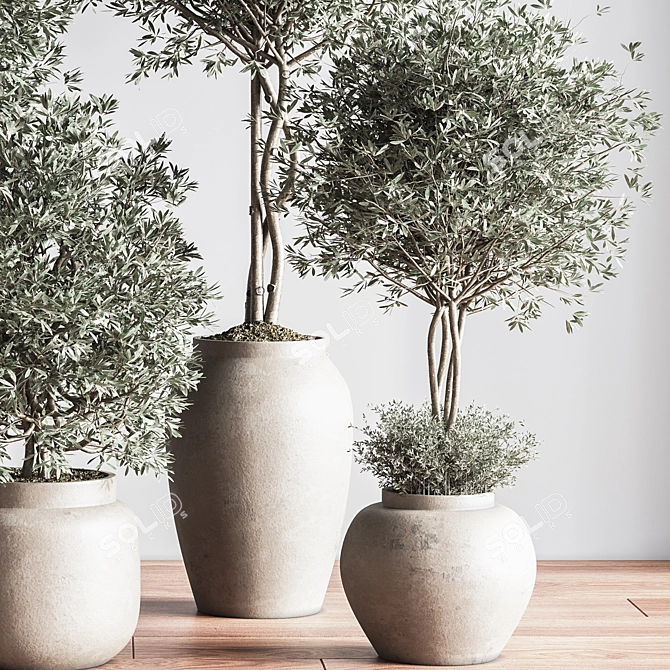 Modern Urban Indoor Plant Set 3D model image 4