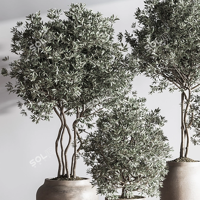 Modern Urban Indoor Plant Set 3D model image 6