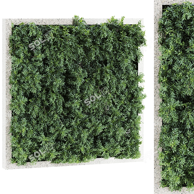 Large Plant Variety Set 66 3D model image 1