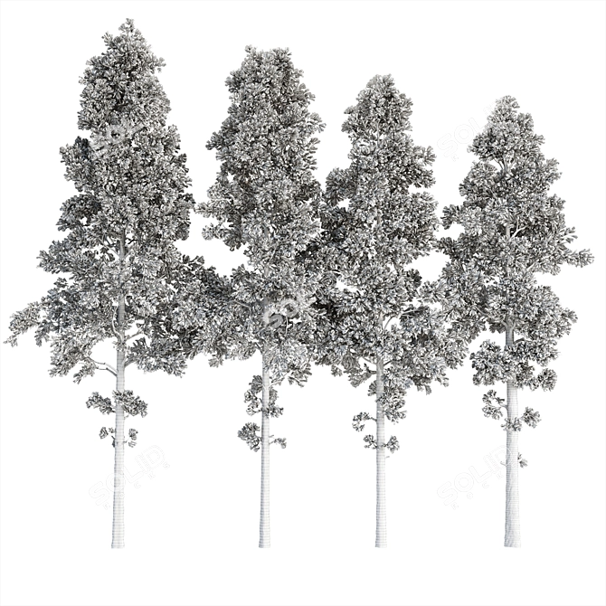 High-Quality Pine Trees Collection 3D model image 7