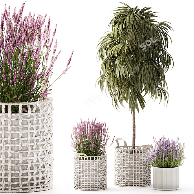 Modern White Basket Plant Collection 3D model image 1