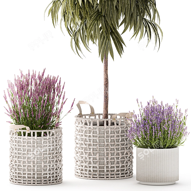 Modern White Basket Plant Collection 3D model image 3