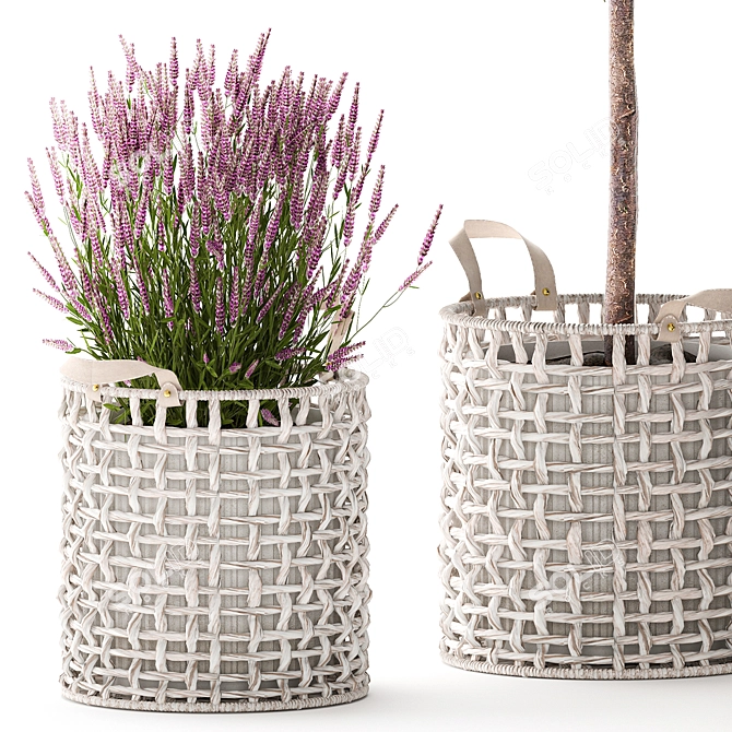 Modern White Basket Plant Collection 3D model image 4