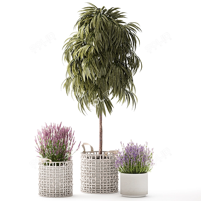 Modern White Basket Plant Collection 3D model image 6