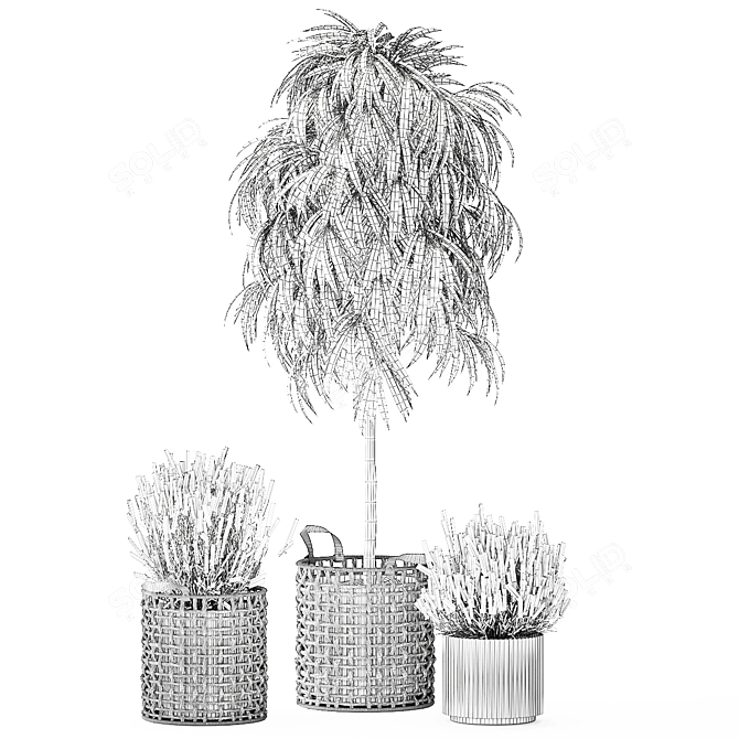 Modern White Basket Plant Collection 3D model image 7