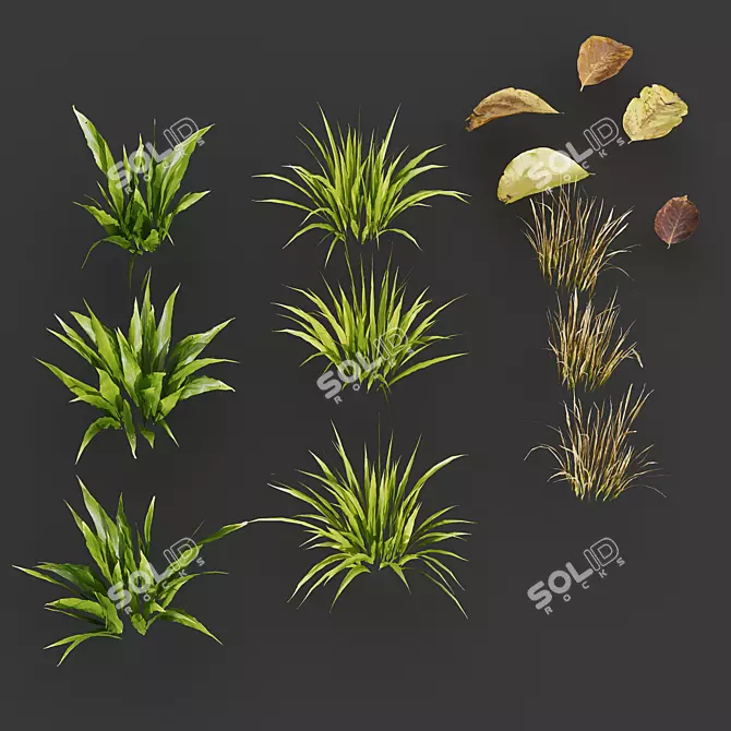 Green Meadow 3D Model Kit 3D model image 4