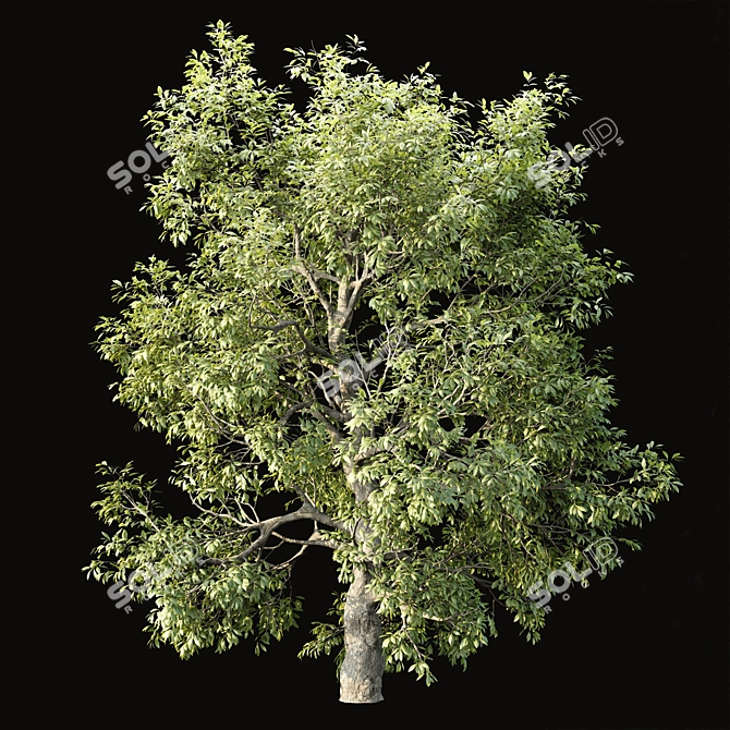 PBR Tree Landscape Asset Vol.229 3D model image 1