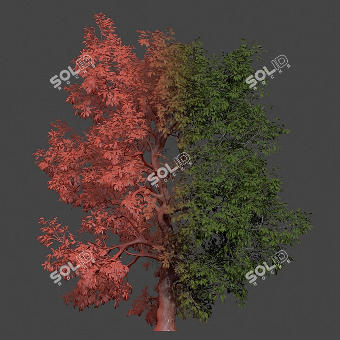 PBR Tree Landscape Asset Vol.229 3D model image 5