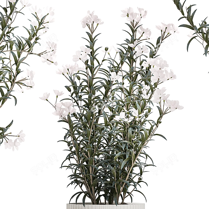 Modern White Blooming Plant Collection 3D model image 3