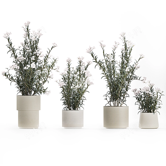 Modern White Blooming Plant Collection 3D model image 6