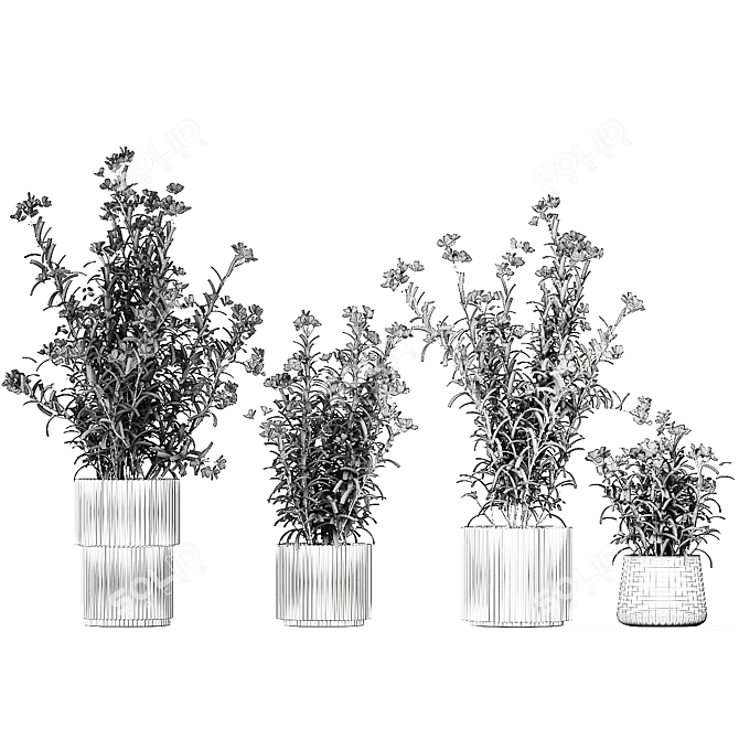 Modern White Blooming Plant Collection 3D model image 7