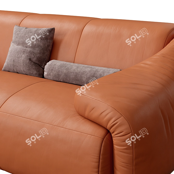 DS-705 London Sofa by de Sede 3D model image 2