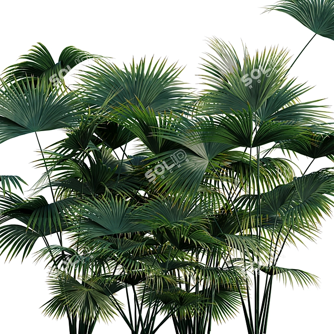 Complete 3D Plant Models Collection 3D model image 4