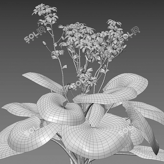 Variegated 3D Plant Models Pack 3D model image 5